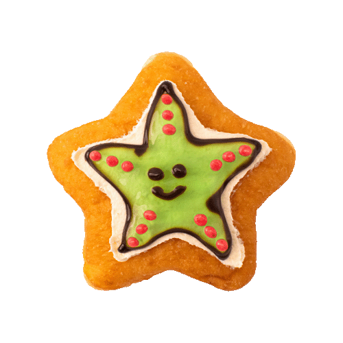 Fancy Star Fish
