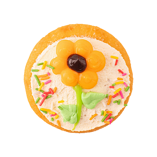 Fancy Sun Flower